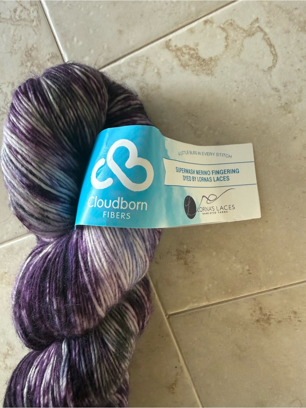 Cloudborn Fibers Hand-Dyed Merino Fingering Yarn - Purple Variegated